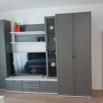 Сдается 1-комнатная квартира, 25,3 м²