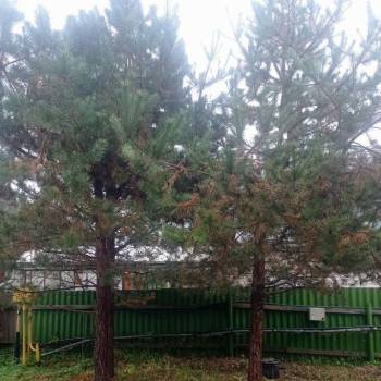 Продается Участок, 1100 м²
