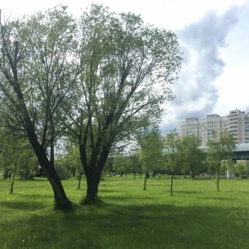 Сдается 1-комнатная квартира, 26 м²