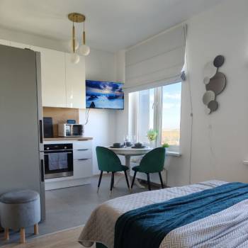 Продается 1-комнатная квартира, 24,7 м²