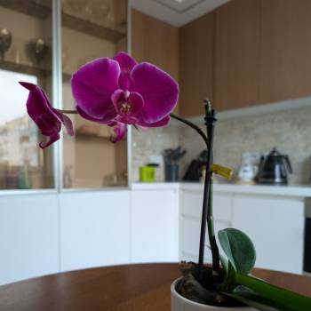 Продается 2-х комнатная квартира, 50,8 м²