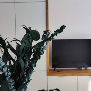 Сдается 1-комнатная квартира, 21 м²