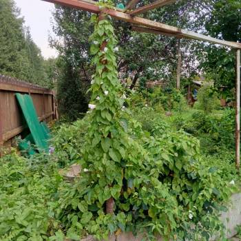Продается Дом, 110 м²