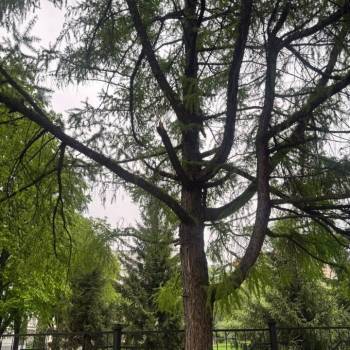 Продается 3-х комнатная квартира, 68 м²