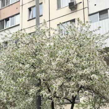 Продается 3-х комнатная квартира, 68 м²
