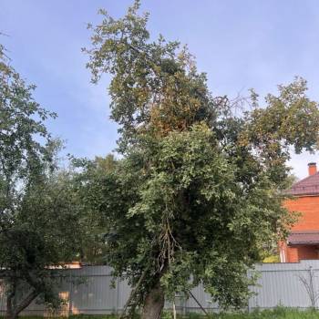 Продается Участок, 800 м²