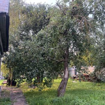 Продается Участок, 800 м²