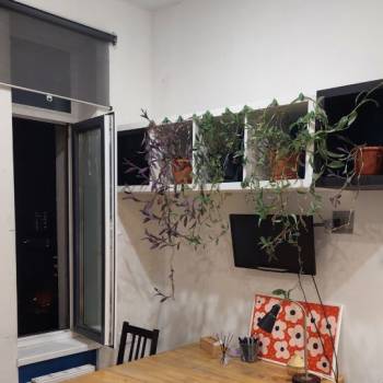 Сдается 1-комнатная квартира, 25,5 м²