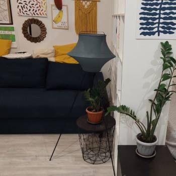 Сдается 1-комнатная квартира, 25,5 м²