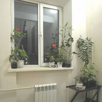 Сдается 2-х комнатная квартира, 54,2 м²