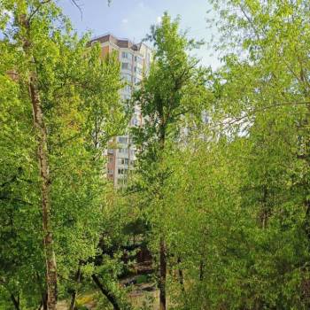 Сдается Комната, 45 м²