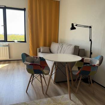 Продается 1-комнатная квартира, 29,4 м²