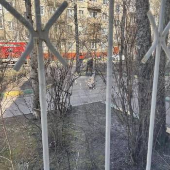 Продается 1-комнатная квартира, 31,8 м²