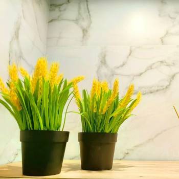 Сдается 2-х комнатная квартира, 37 м²