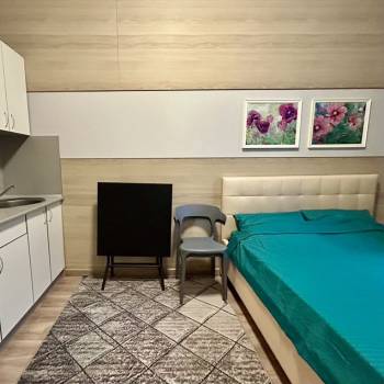 Сдается 1-комнатная квартира, 19,5 м²