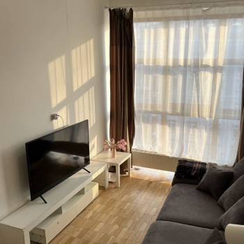 Сдается 1-комнатная квартира, 46 м²