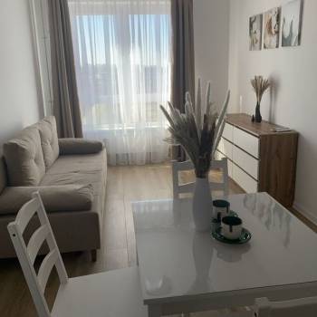 Сдается 1-комнатная квартира, 31,6 м²