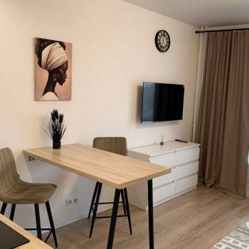 Сдается 1-комнатная квартира, 23,3 м²