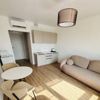 Сдается 1-комнатная квартира, 21,7 м²