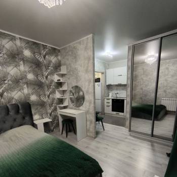 Сдается 1-комнатная квартира, 24,5 м²