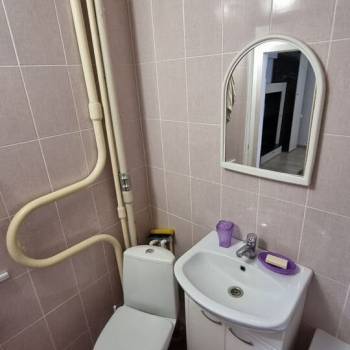 Сдается 1-комнатная квартира, 30,2 м²