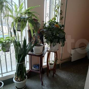 Продается 3-х комнатная квартира, 80,4 м²