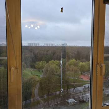 Сдается 1-комнатная квартира, 37 м²