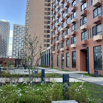 Сдается 1-комнатная квартира, 33,8 м²
