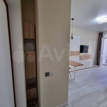 Сдается 1-комнатная квартира, 23,7 м²