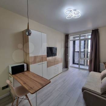 Сдается 1-комнатная квартира, 23,7 м²