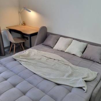 Сдается 1-комнатная квартира, 23,7 м²