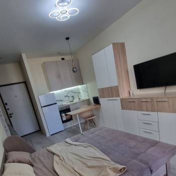 Сдается 1-комнатная квартира, 23,7 м²