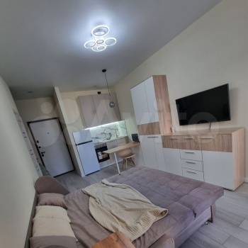 Сдается 1-комнатная квартира, 23,7 м²
