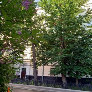 Продается Многокомнатная квартира, 97,1 м²