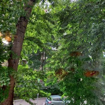Продается Многокомнатная квартира, 97,1 м²