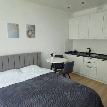 Сдается 1-комнатная квартира, 19,6 м²