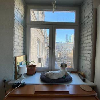 Сдается 1-комнатная квартира, 47 м²