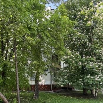 Сдается 1-комнатная квартира, 31,7 м²