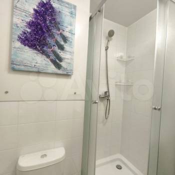 Сдается 1-комнатная квартира, 25,3 м²