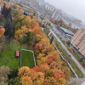 Сдается 1-комнатная квартира, 25,3 м²
