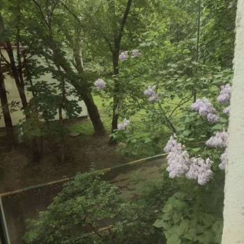 Сдается 1-комнатная квартира, 39,8 м²