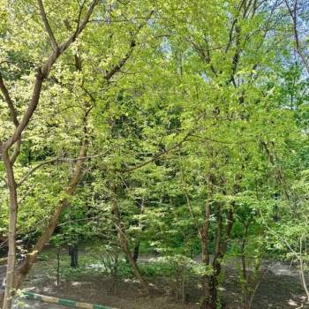 Сдается 2-х комнатная квартира, 38 м²