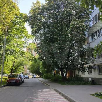 Сдается 2-х комнатная квартира, 48 м²