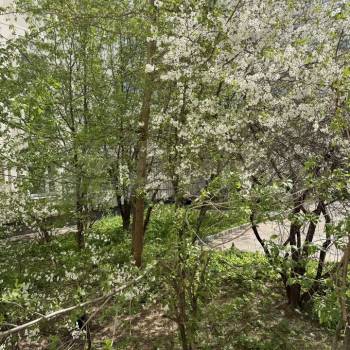 Продается 2-х комнатная квартира, 53,8 м²