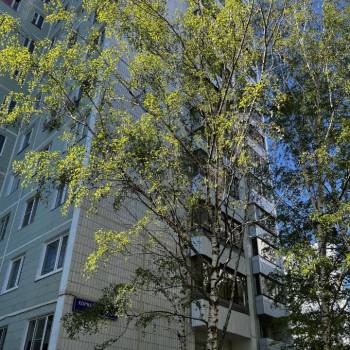 Продается 3-х комнатная квартира, 66,7 м²