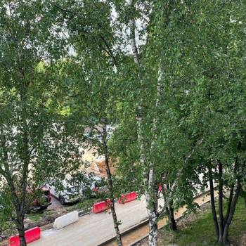 Сдается 2-х комнатная квартира, 55 м²