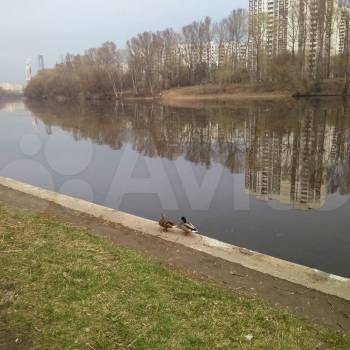 Сдается 2-х комнатная квартира, 37 м²
