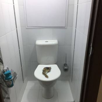 Сдается 2-х комнатная квартира, 60,5 м²