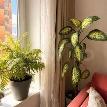 Сдается 1-комнатная квартира, 35,1 м²