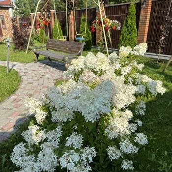 Продается Дом, 300 м²